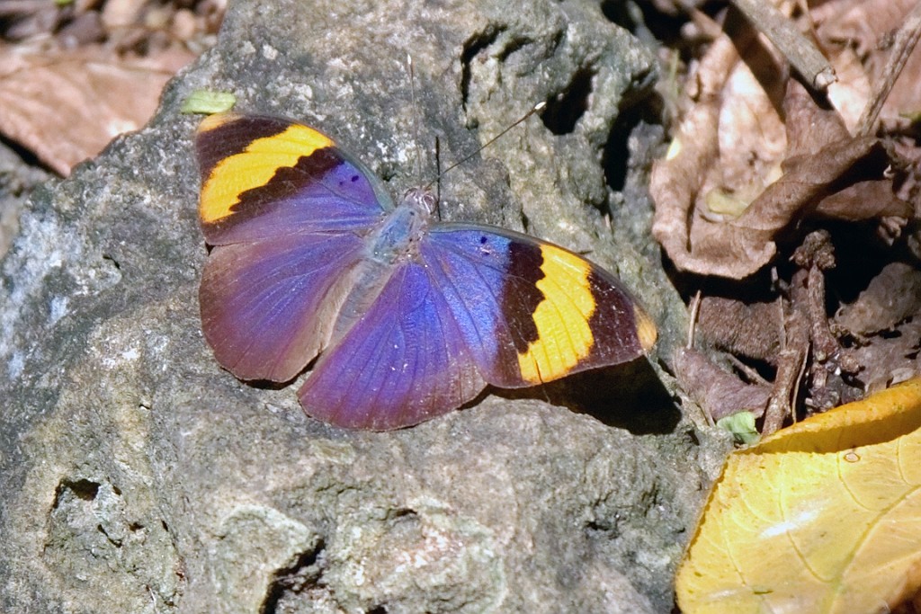 Kenia (554).jpg